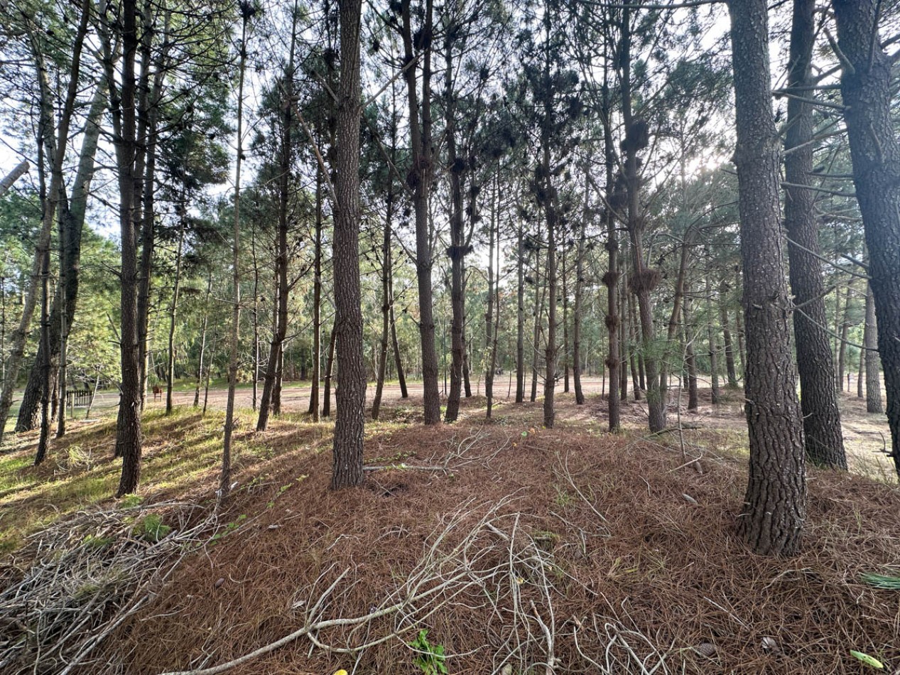 Venta Lote Pinamar