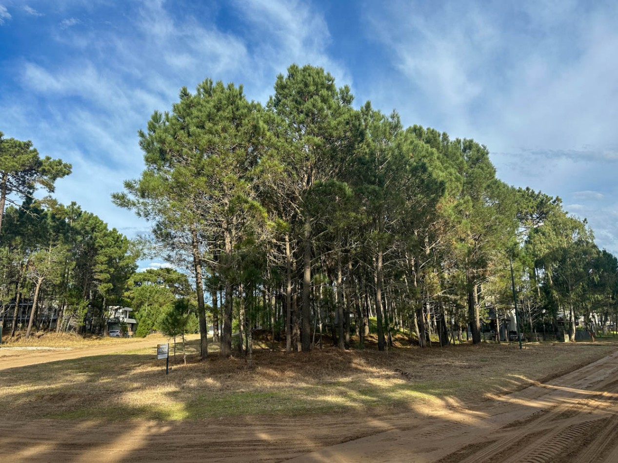 Venta Lote Pinamar