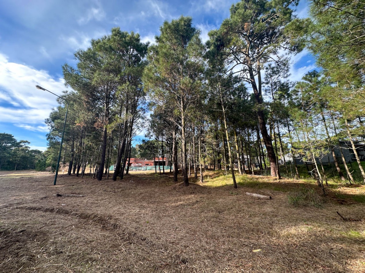 Venta Lote Pinamar