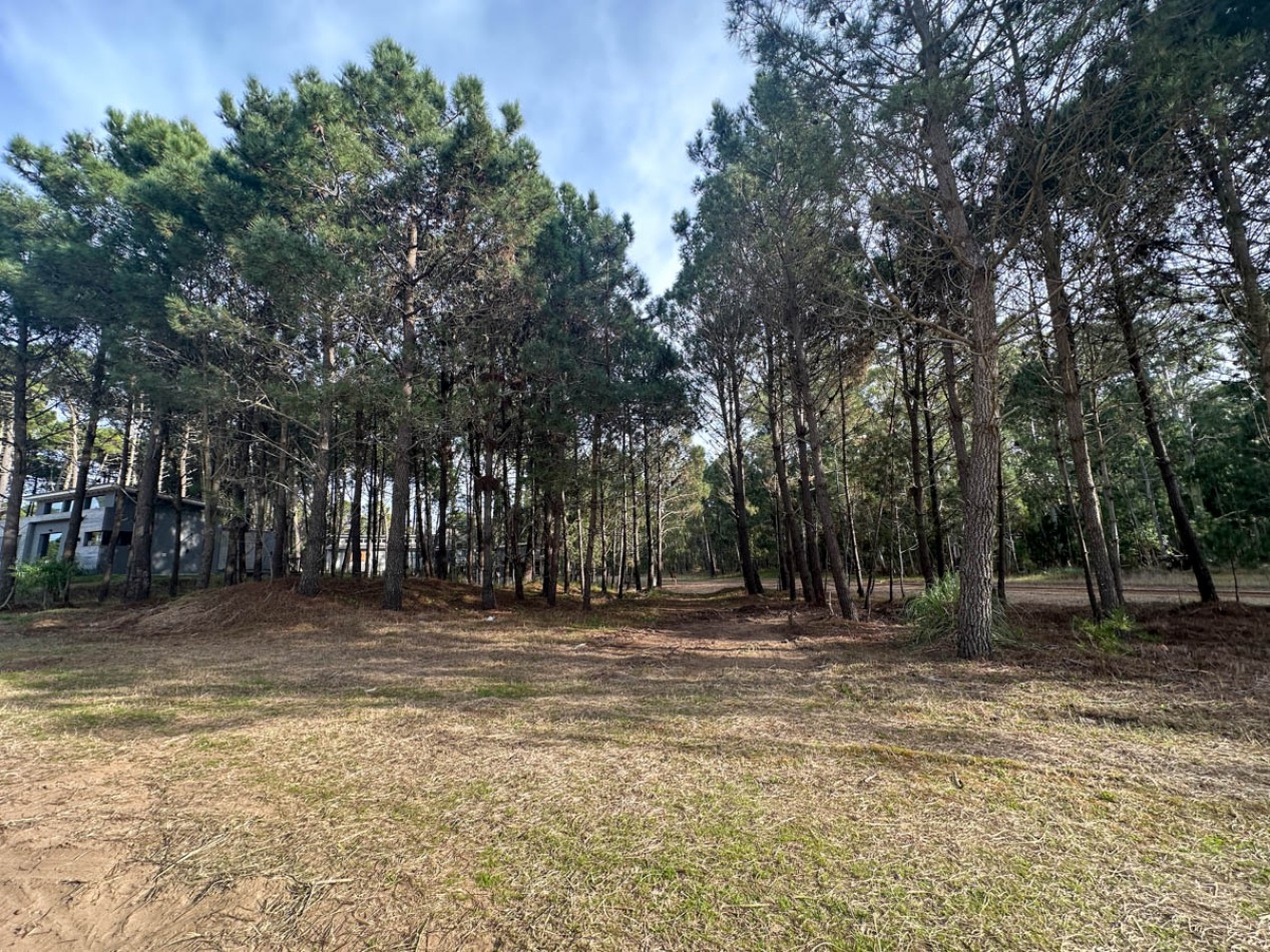 Venta Lote Pinamar