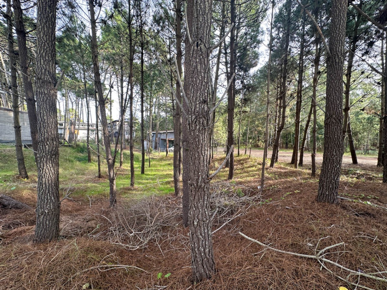 Venta Lote Pinamar