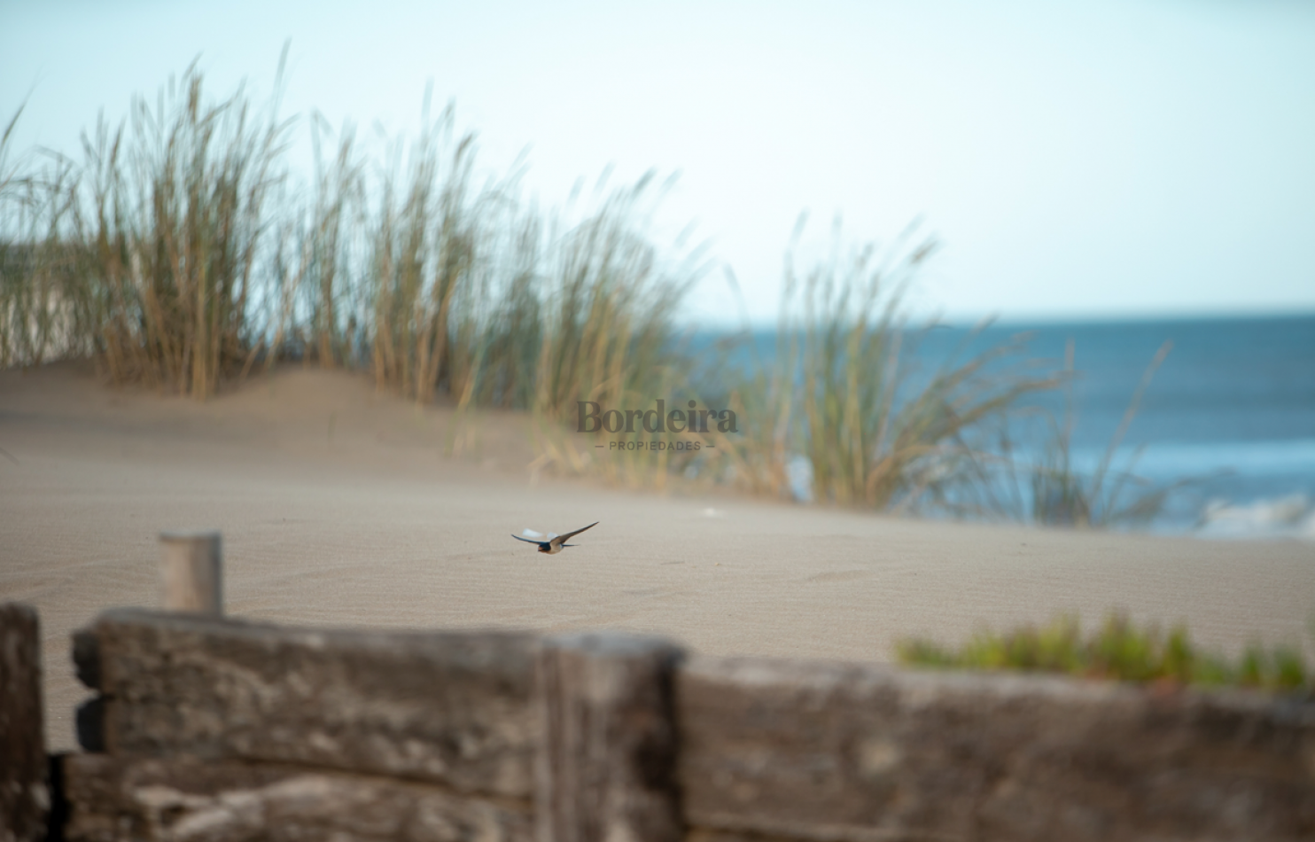 VENTA LOTE PINAMAR TRIDENTE